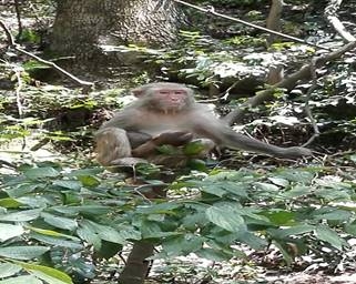image065