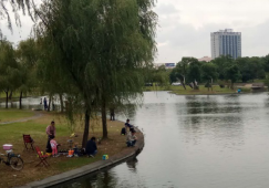 钓鱼图片1
