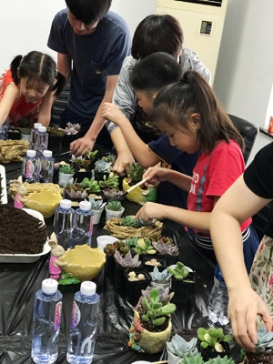 植物栽