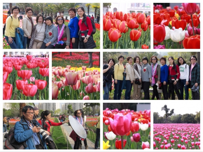 微信图片_20180403161952