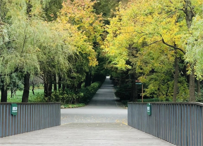 微信图片_20221130144423 微信图片_20221130144423